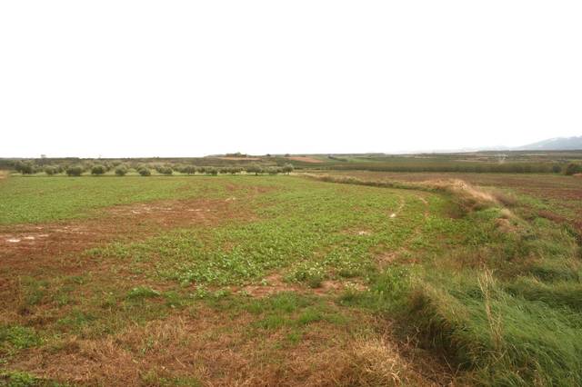 Terreno en Venta en Alberite