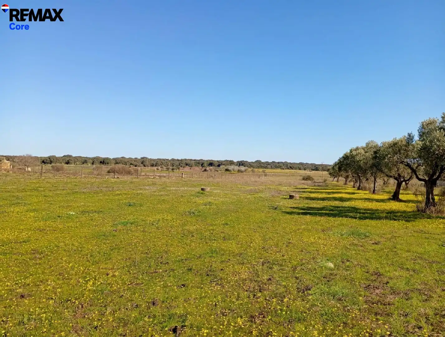 Terreni e lotti in vendita a Montánchez, imagen 6
