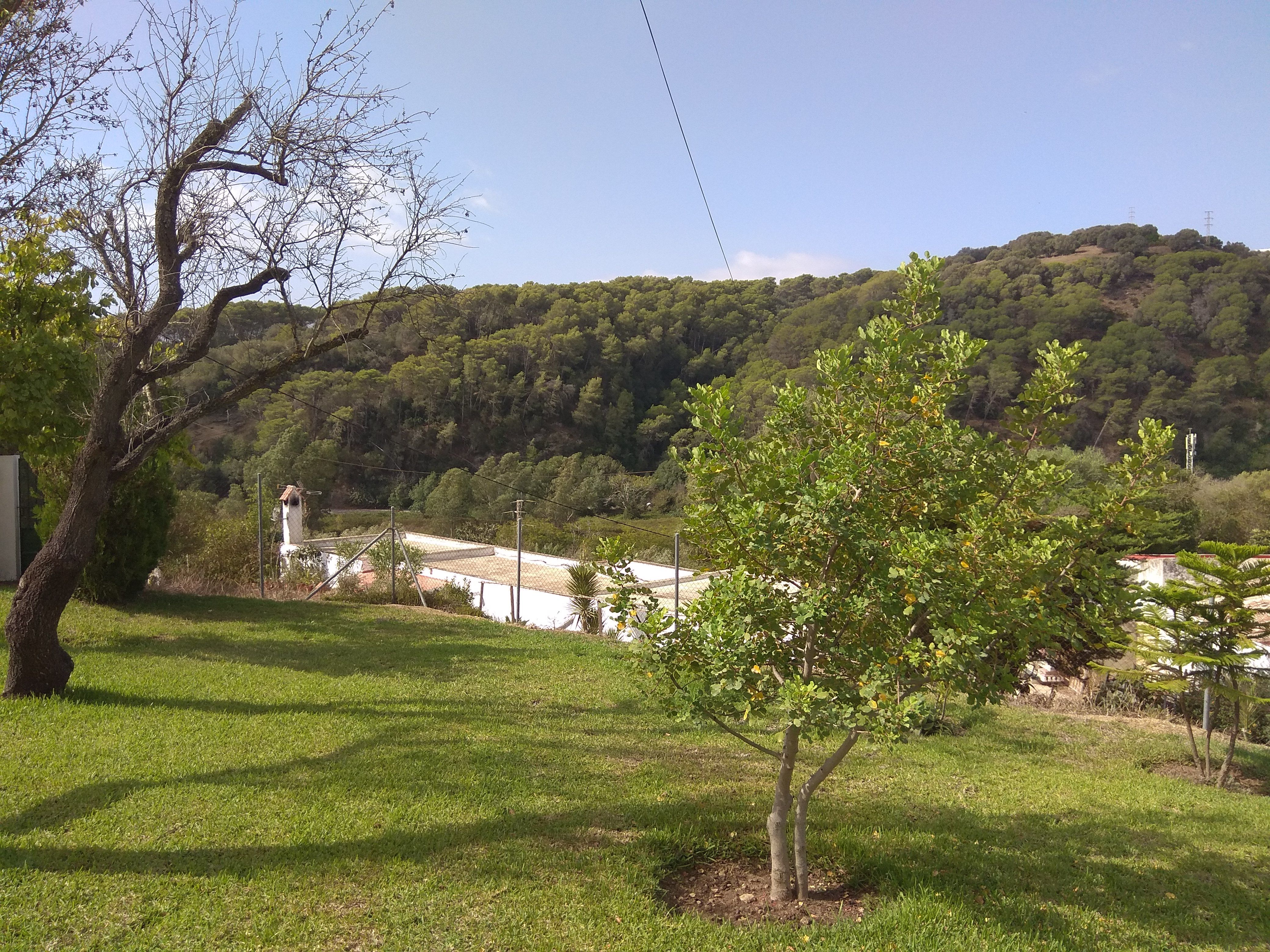 Jardí de Edifici en venda en Los Barrios