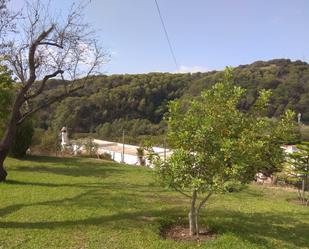 Jardí de Edifici en venda en Los Barrios