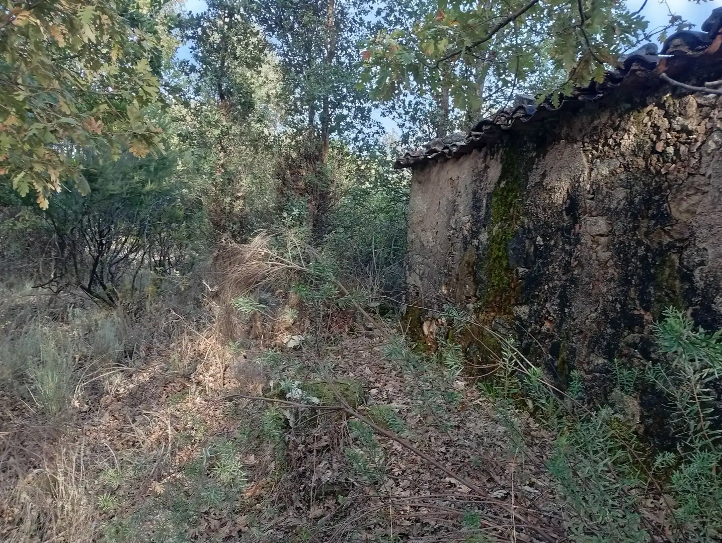Terreni e lotti in vendita a Villanueva de la Vera, imagen 28