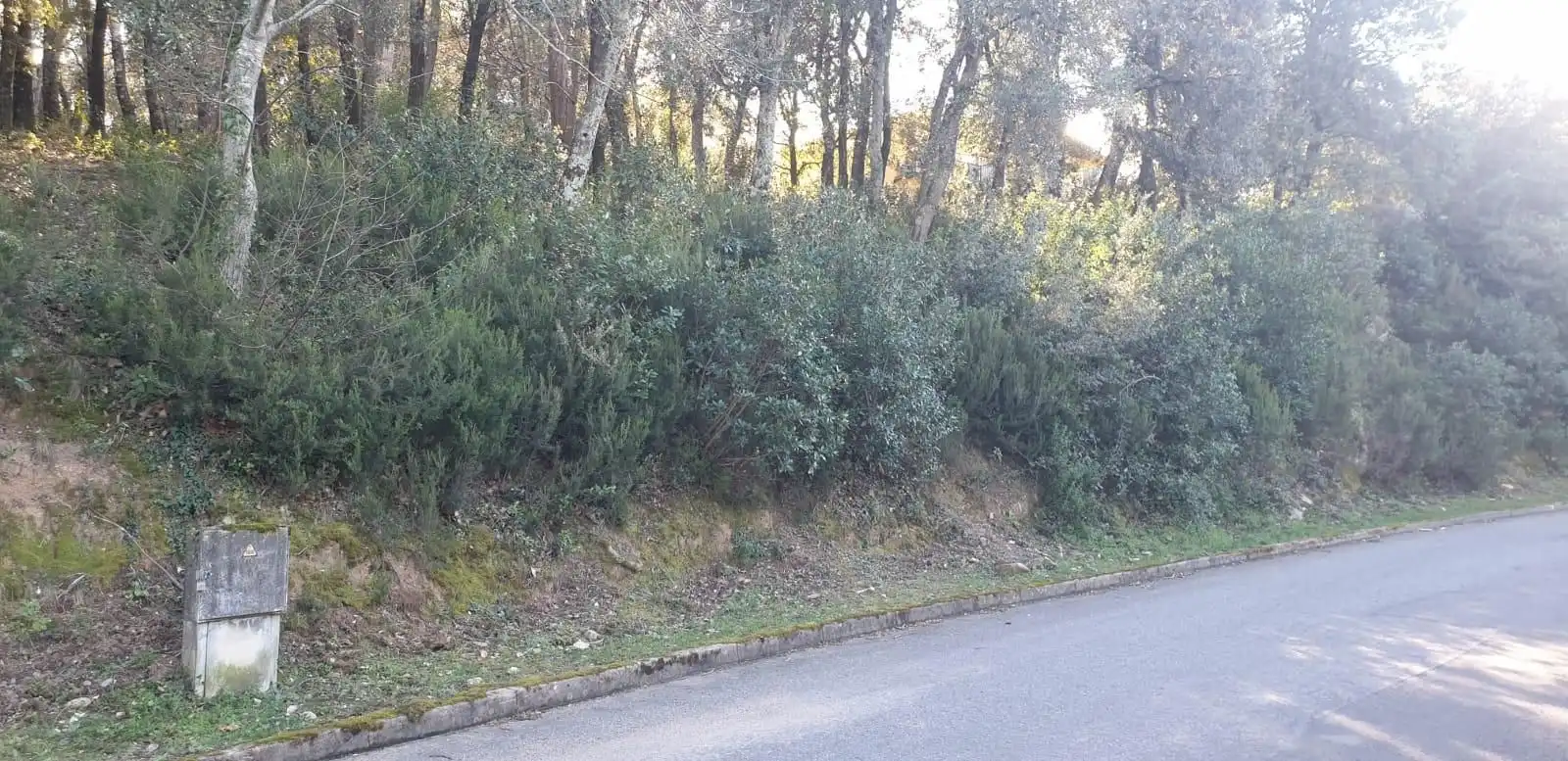 Residencial en venta en Sant Feliu de Buixalleu