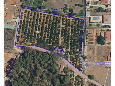 Terreny rústic en venda a Calle Cami Rural Rotova