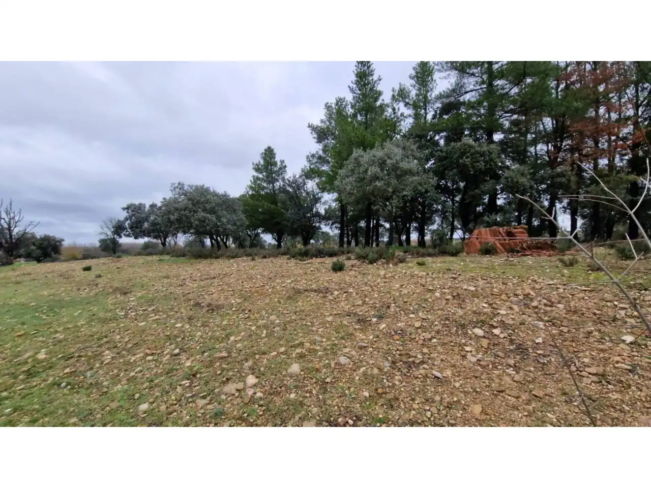 Terreno residenziale in vendita a Poligono 24 46, imagen 10