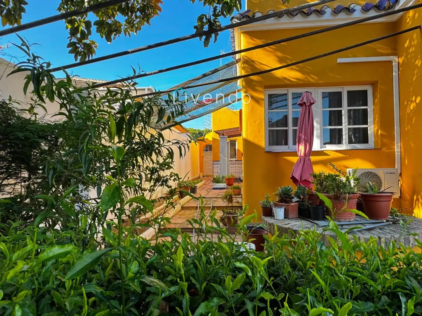 Chalet con piscina en venta en Conil, imagen 31
