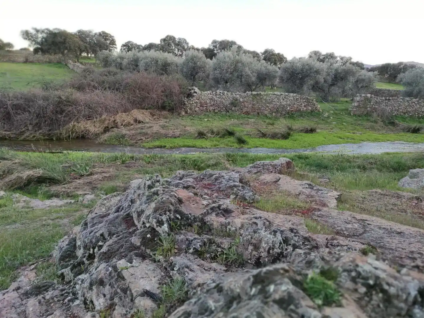 Piso en venta en Aldeanueva de San Bartolomé
