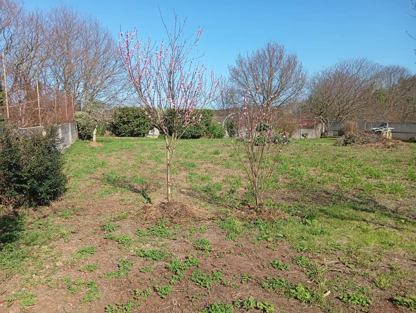 Casa o xalet en venda en Carballo amb Calefacció, Jardí privat i Moblat