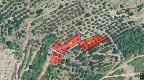 VENTA E FINCA EN EL TORNO. VALLE DEL JERTE, immagine 5
