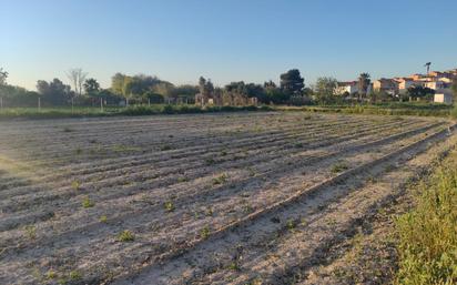 Land for sale in Molina de Segura