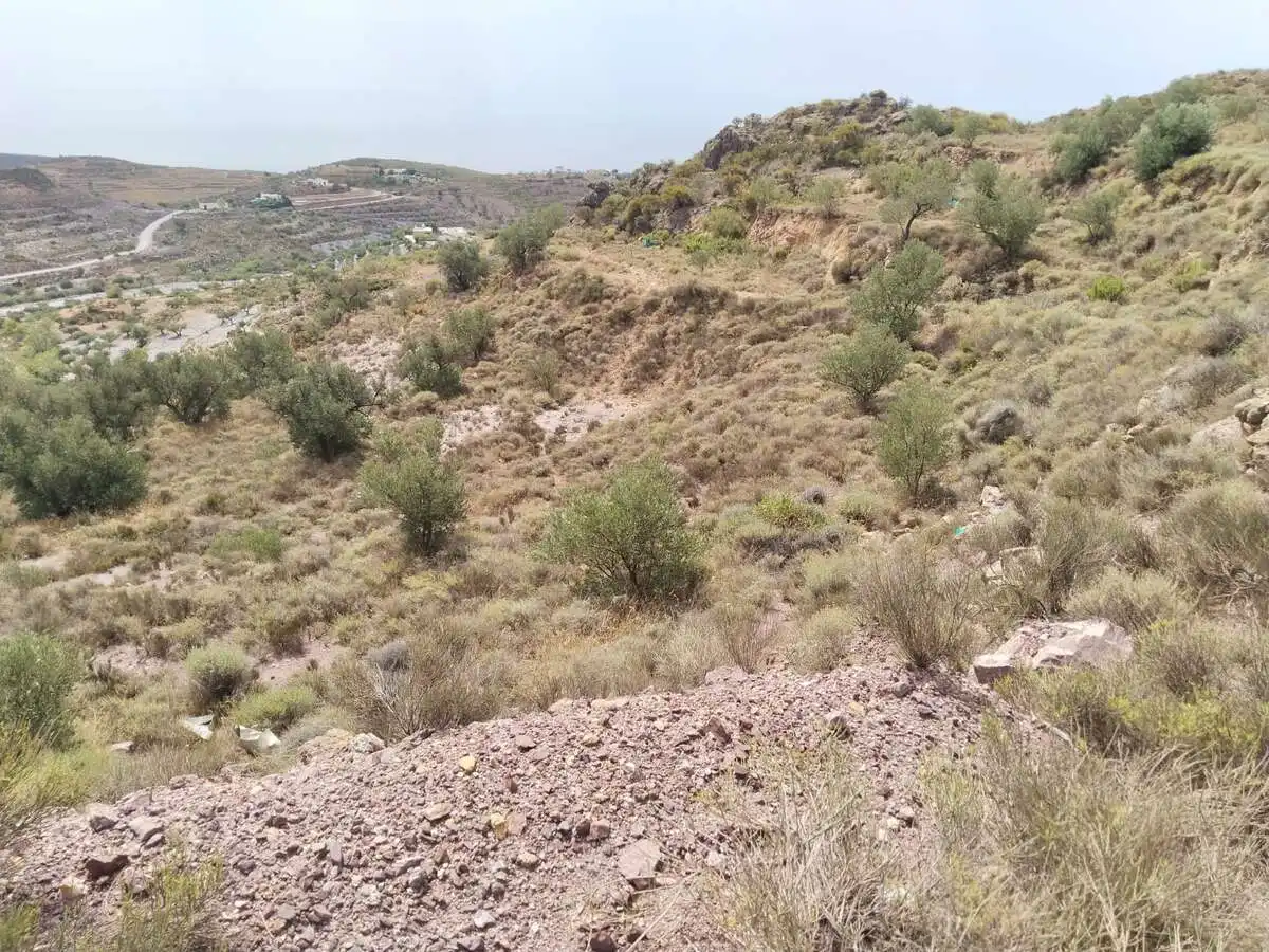Terreno rustico in vendita a Felix, imagen 3