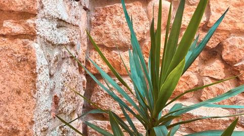 Photo 5 of Premises for sale in Plaça de Sant Pere, Centre - Barri Vell, Girona