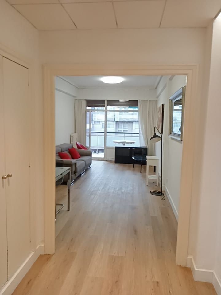 Sala d'estar de Pis de lloguer en Bilbao  amb Calefacció, Moblat i Balcó