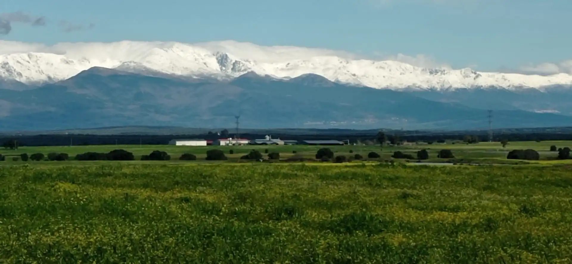 Exterior view of Land for sale in Oropesa