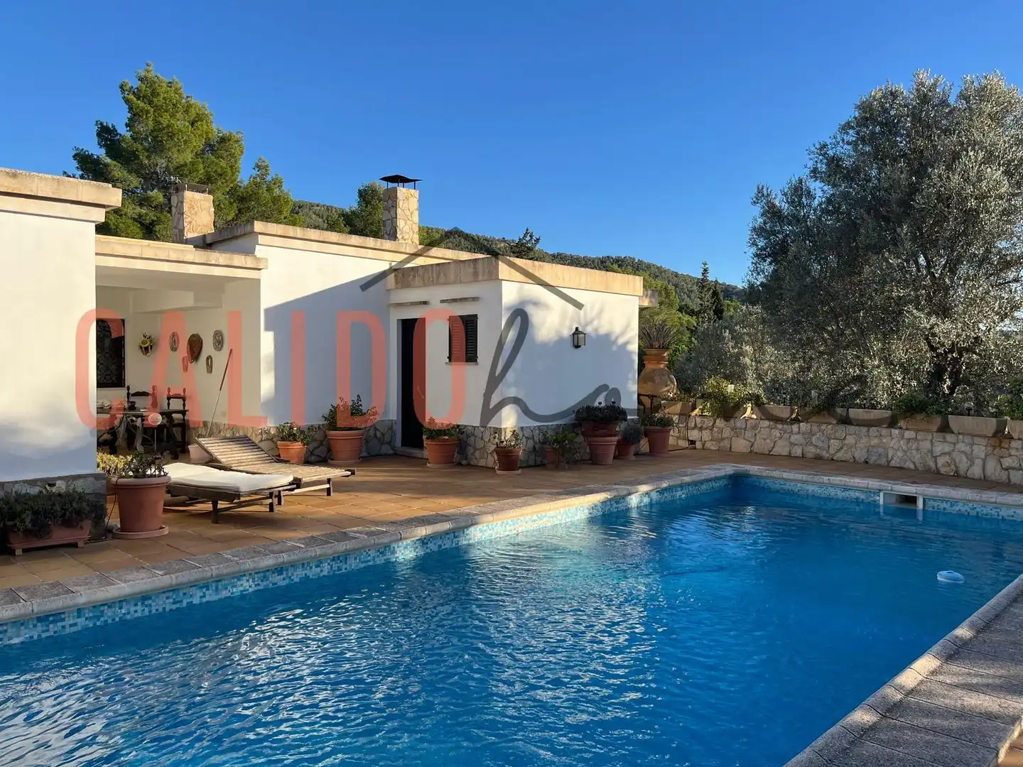Haus oder Chalet zum Verkauf in Calvià pueblo