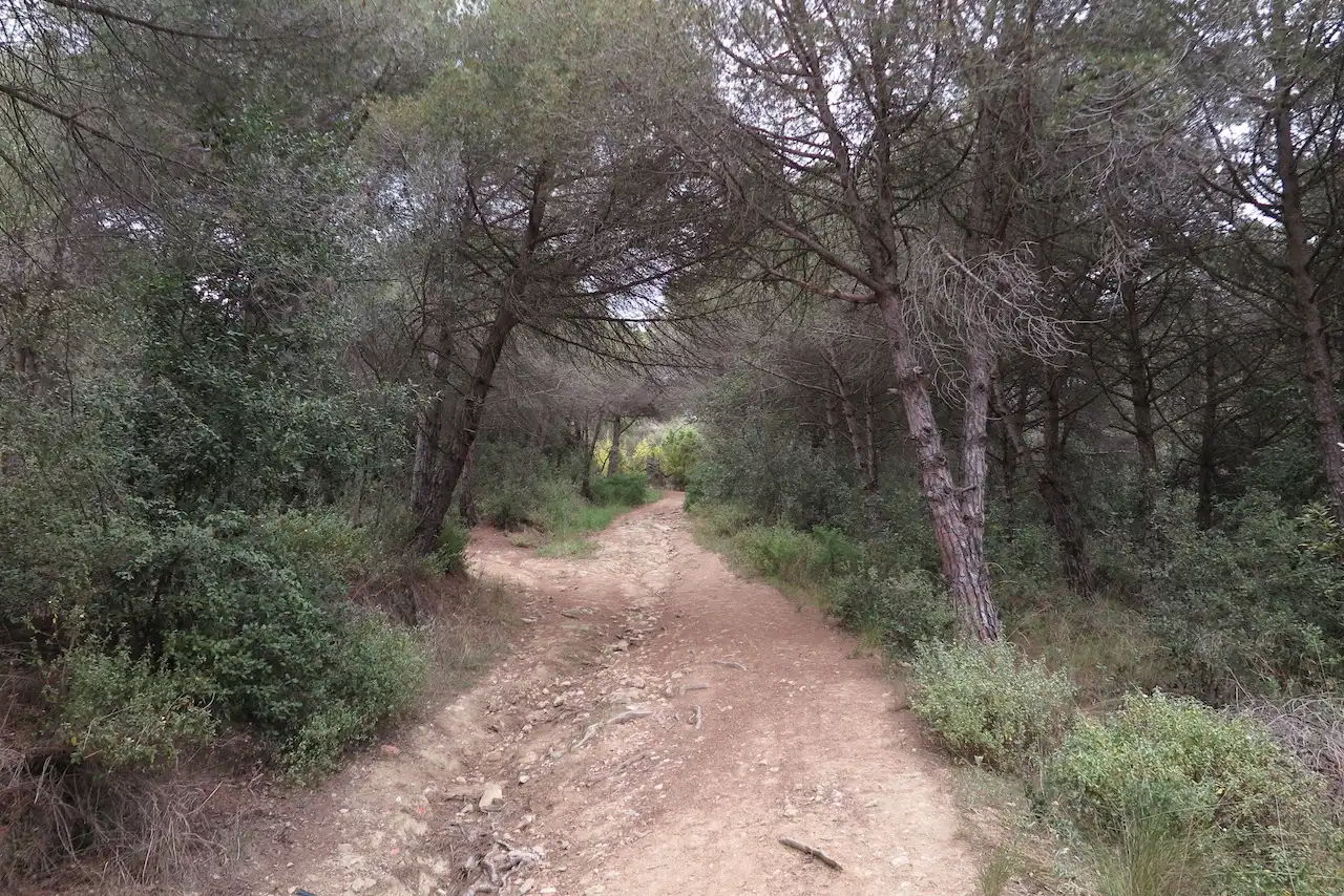 Rustikales Grundstück zum Verkauf in C/ Can Poi del Bosc, imagen 8