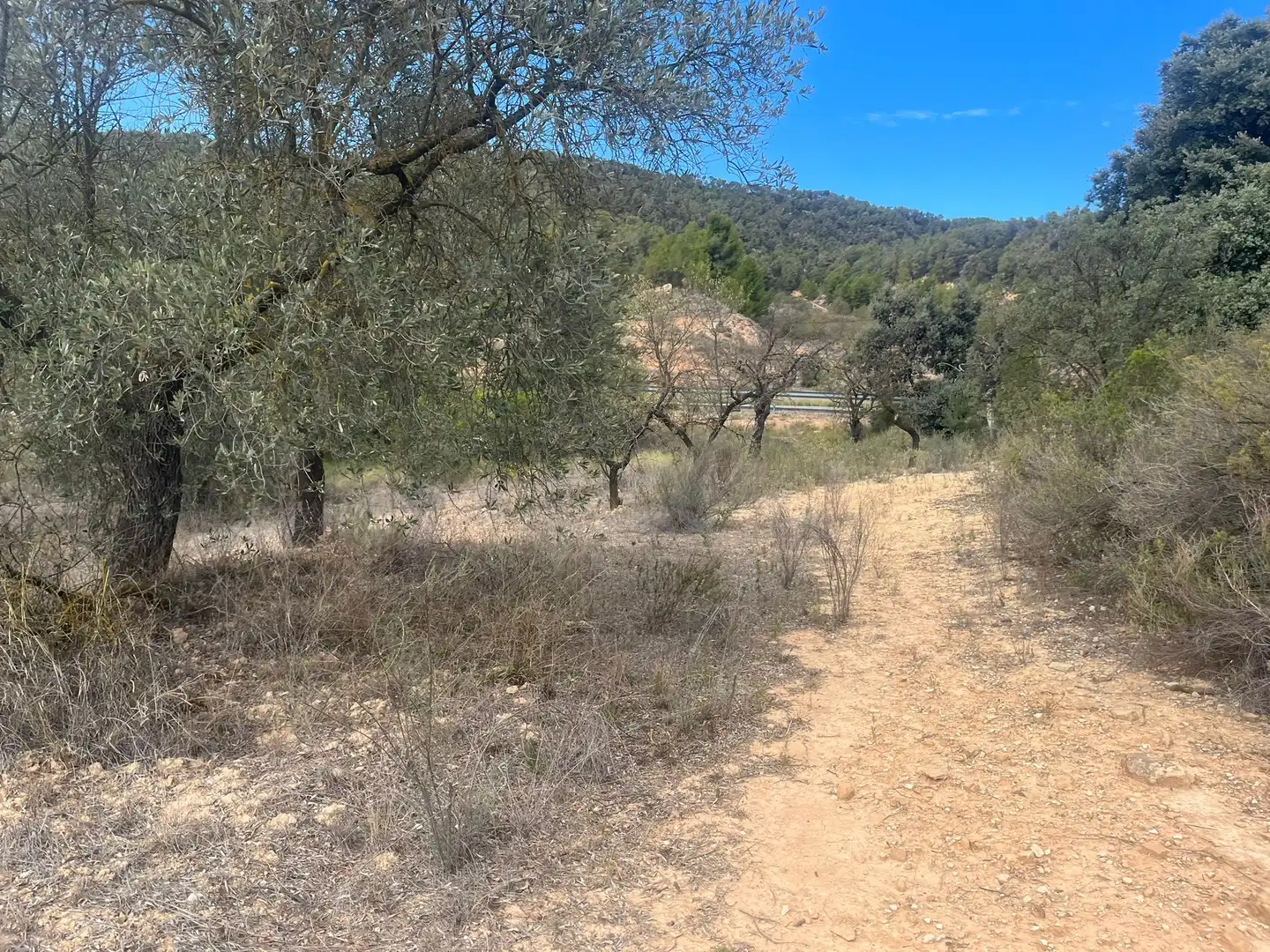 Rural land for sale in Horta de Sant Joan, imagen 6