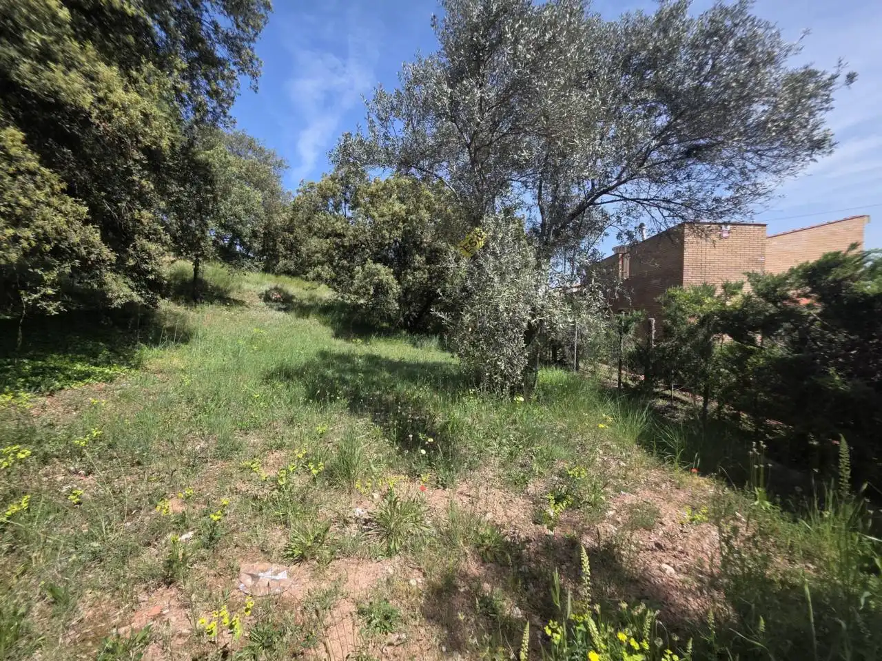 Terreno industrial en venta en Sant Fruitós de Bages