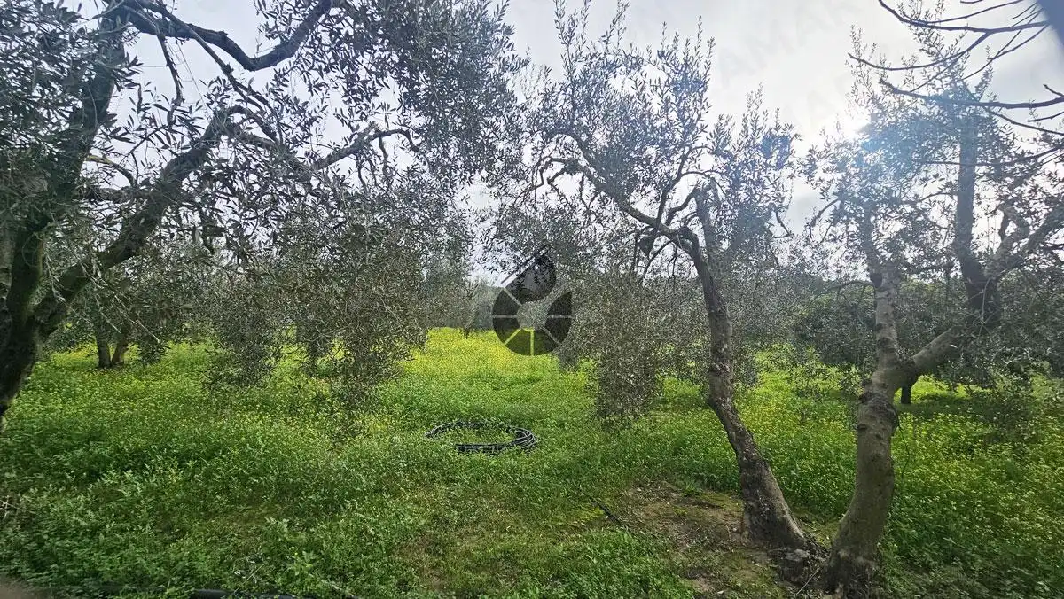 Landhaus zum Verkauf in La Puebla del Río, imagen 18