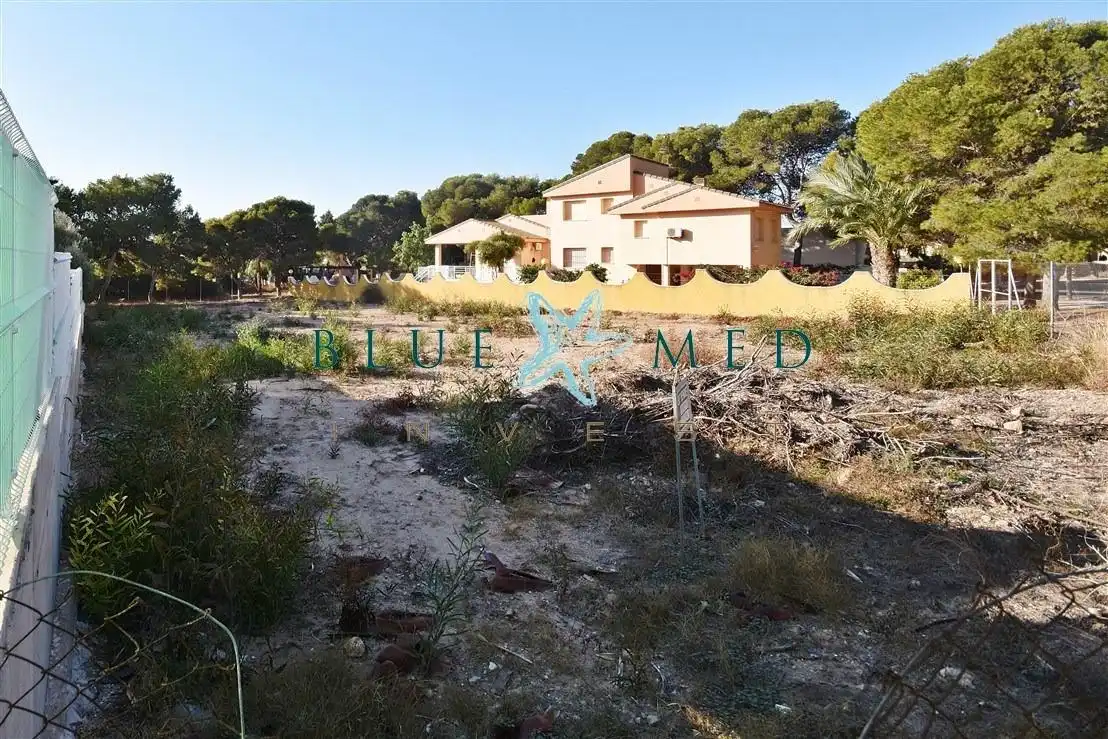 Lands and plots for sale in Calle Paralelo 5, imagen 3