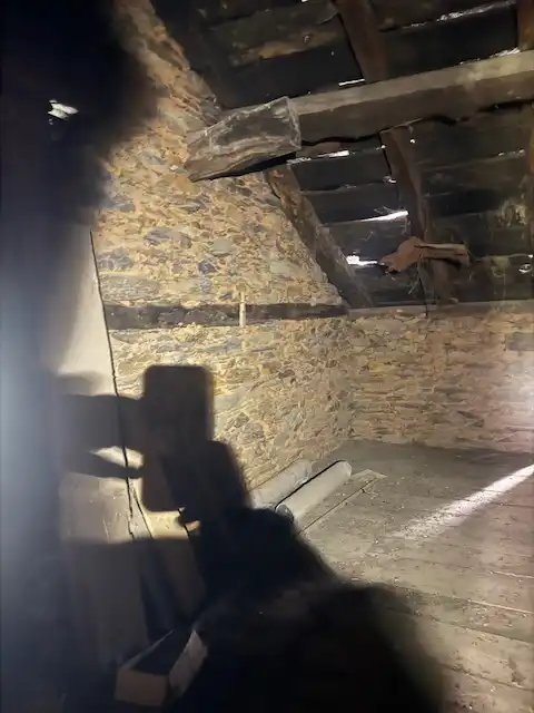 Finca rústica en venda en Grandas de Salime amb Jardí privat i Balcó
