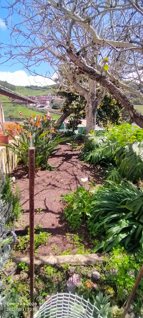 Jardí de Finca rústica en venda en San Cristóbal de la Laguna amb Jardí privat, Parquet i Terrassa