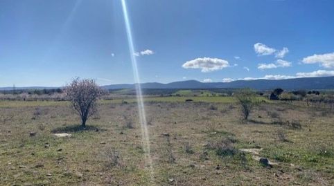 SE VENDE SOLAR RUSTICO EN SONSECA POR 11.000 €