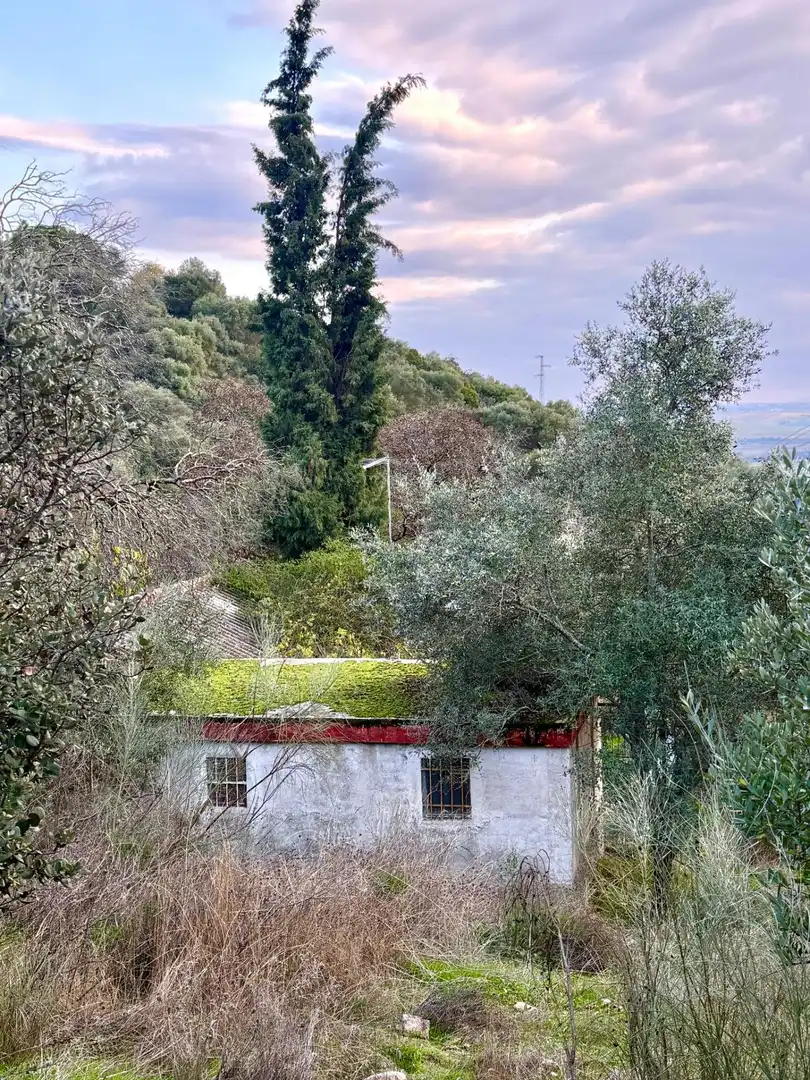 Casa en venda a Almodóvar del Río, imagen 2