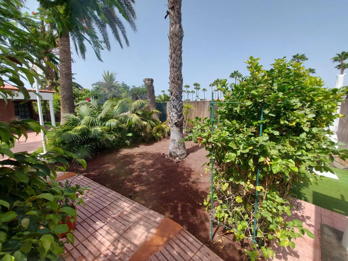 Casa o xalet en venda a Avenida Touroperador Tjaereborg, 59, Maspalomas - Meloneras