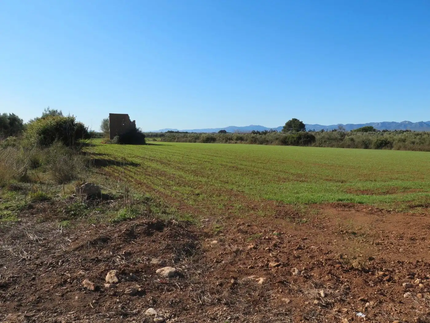 Rural land for sale in Godall, imagen 9