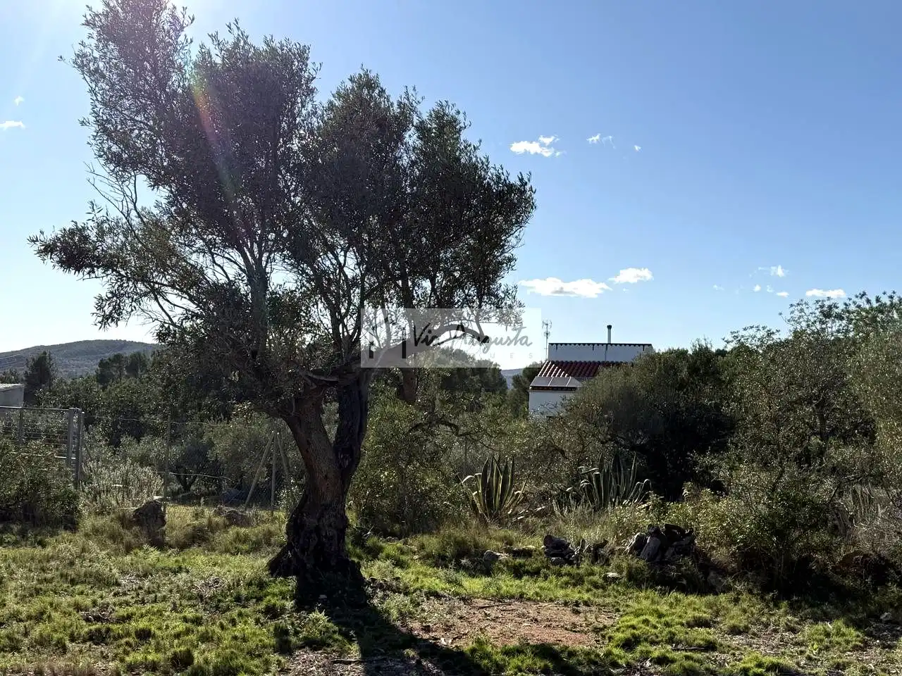 Terrenos y solares en venta en Arrivesando, imagen 2