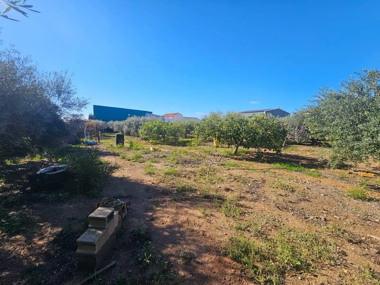 Commercial properties for sale in Fuente Álamo de Murcia