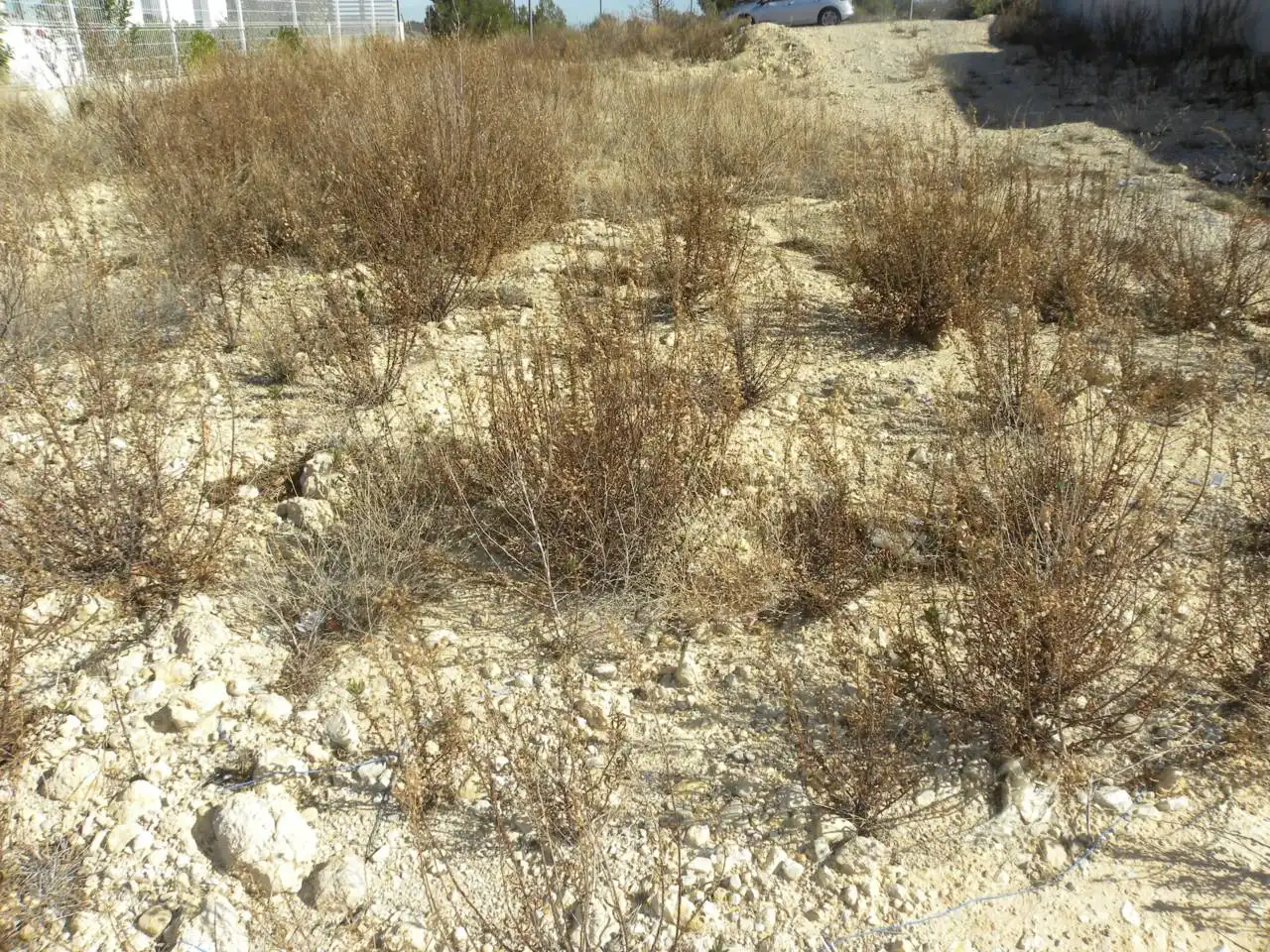 Residential land for sale in Caravaca de la Cruz, imagen 6