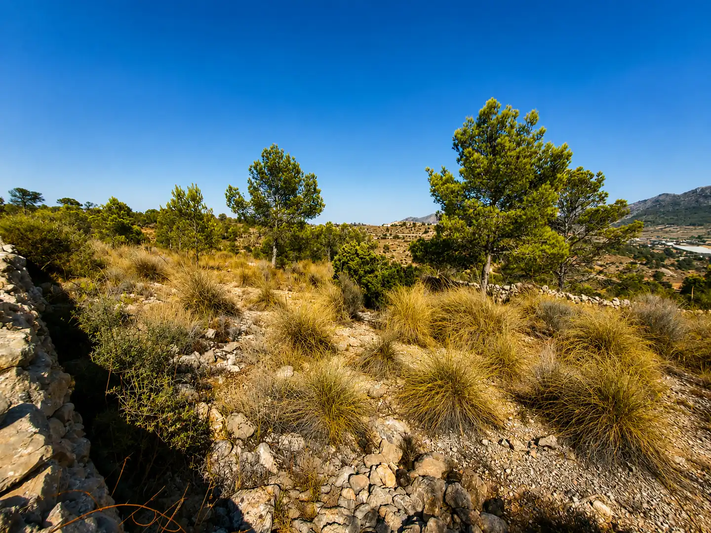 Terreno en venta en La Romana