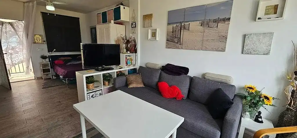 Sala d'estar de Estudi en venda en Torrevieja amb Moblat