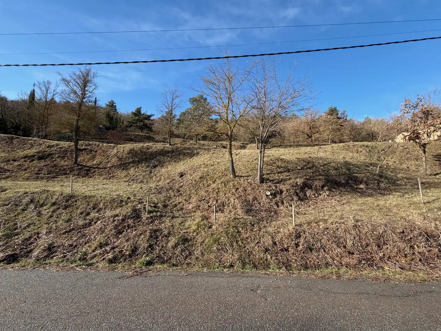 Residential land for sale in Muntanyola, imagen 8