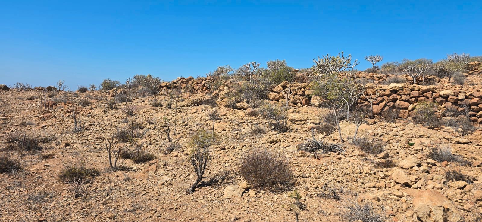 Terreno en venta en Granadilla de Abona
