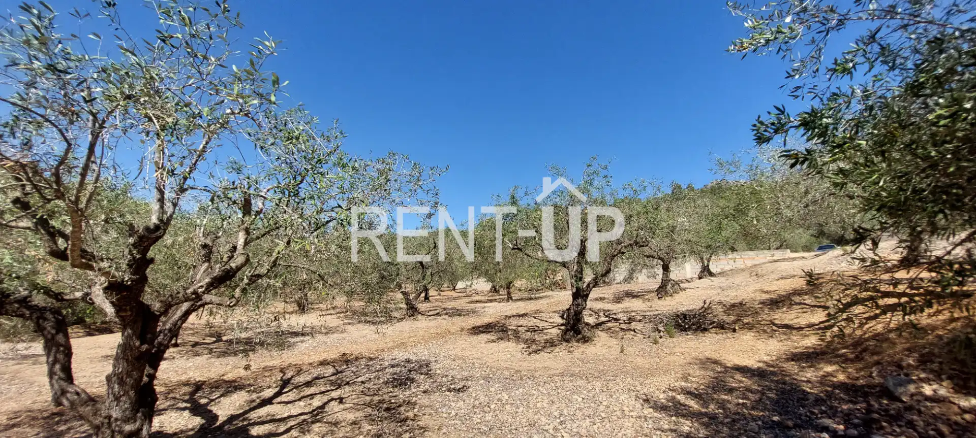 Terreny rústic en venda a Xàtiva, imagen 14