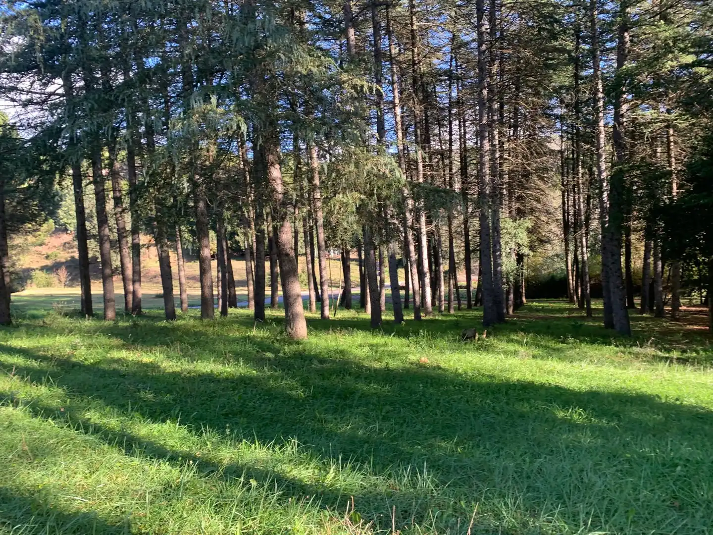 Terreno residencial en venta en Carrer del Xaloc 28, imagen 8
