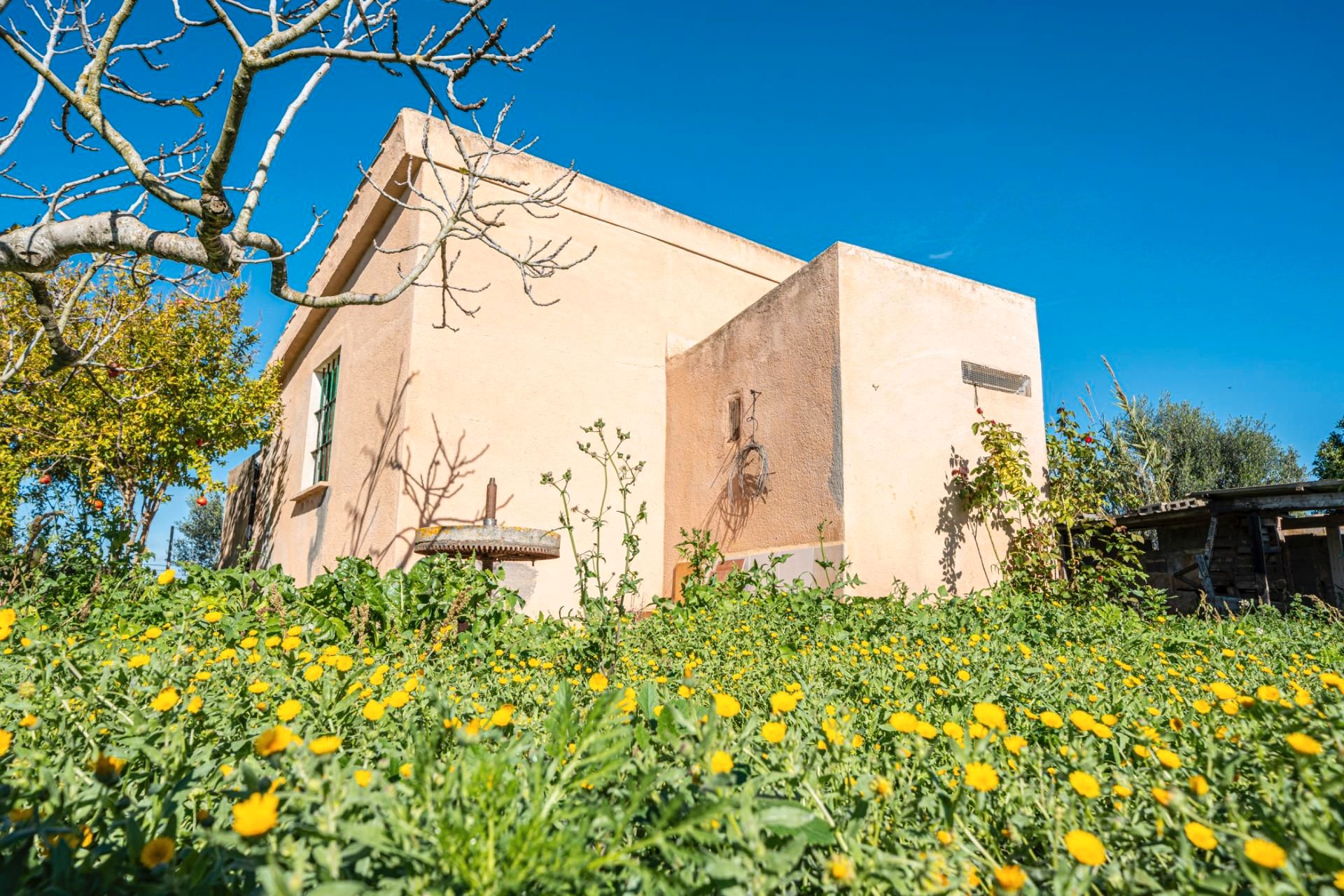 Vista exterior de Finca rústica en venda en Porreres