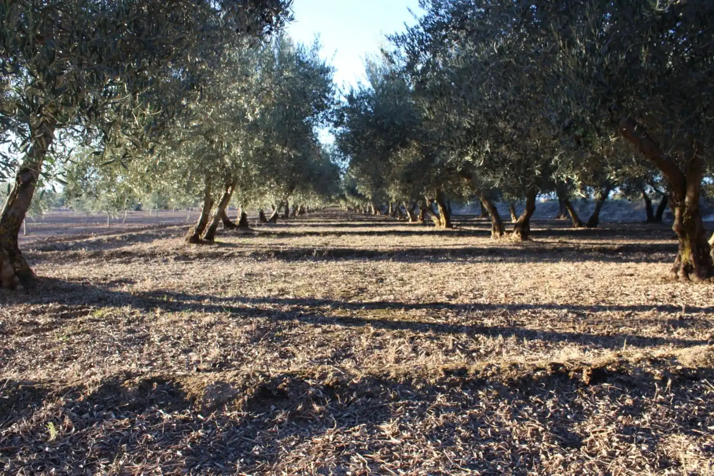 Country homes for sale in Villa de Otura, Granada
