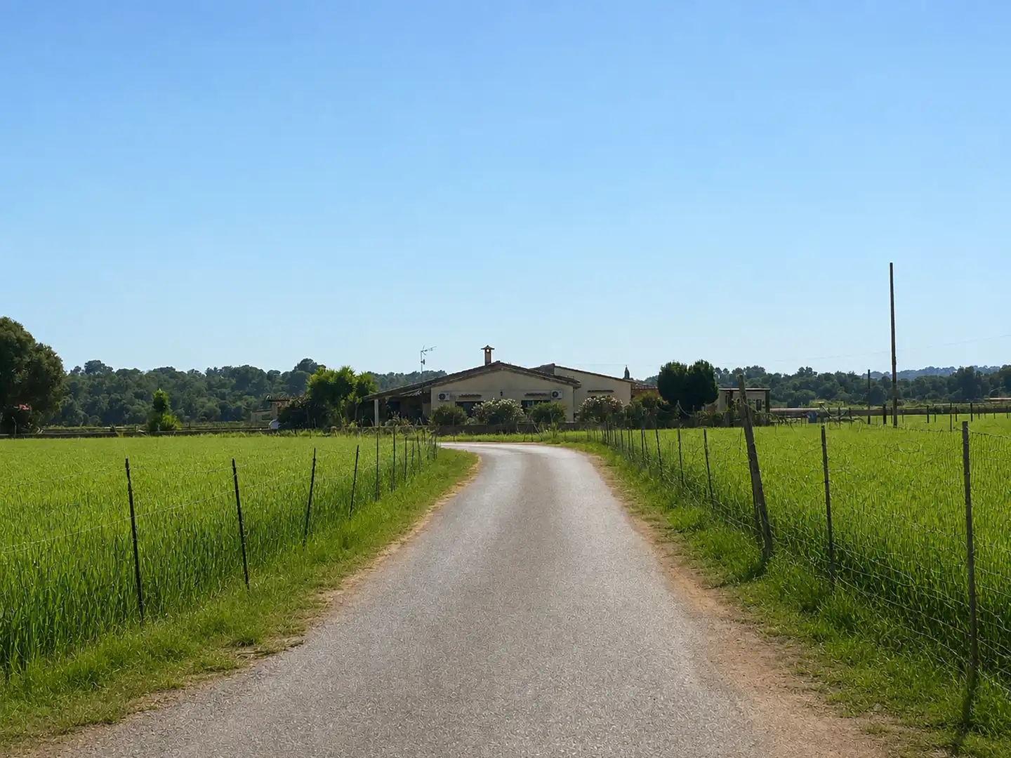 Houses for rent in Santa Eugènia