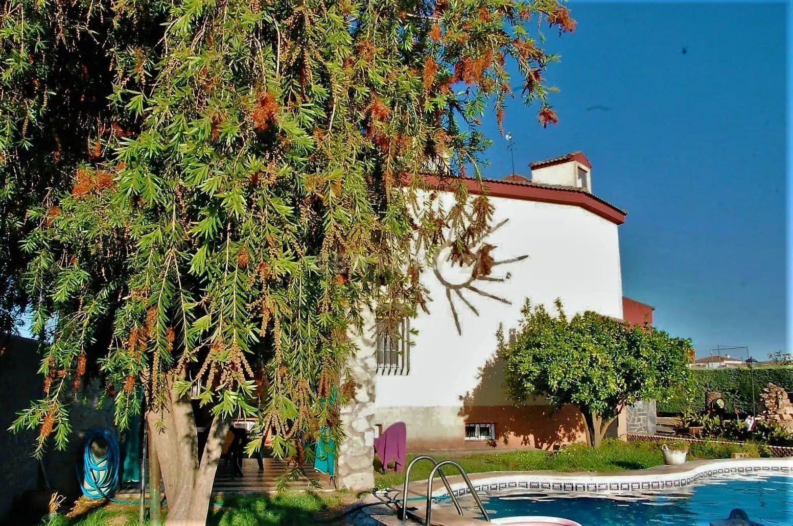 Jardí de Casa o xalet en venda en Coria amb Piscina