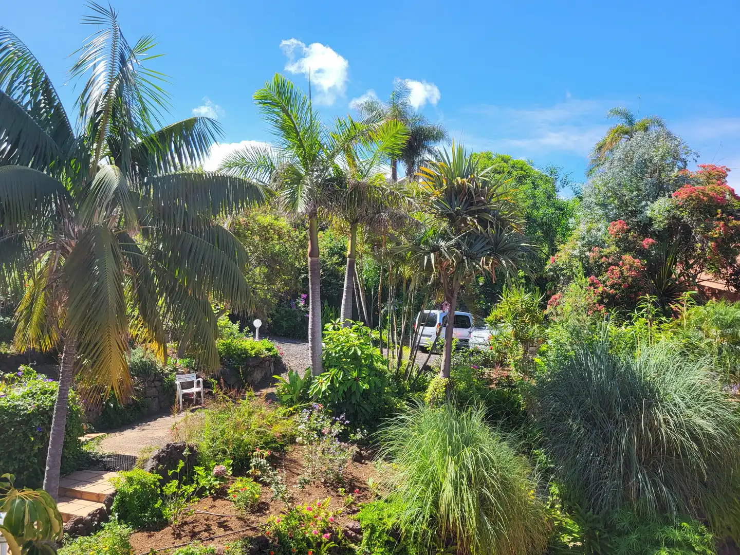 Garden of Country homes for sale in Tacoronte  with Air Conditioner, Heating and Parquet flooring