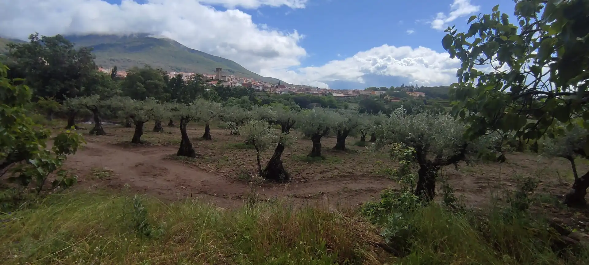 Terreni e lotti in vendita a Jarandilla de la Vera, imagen 9