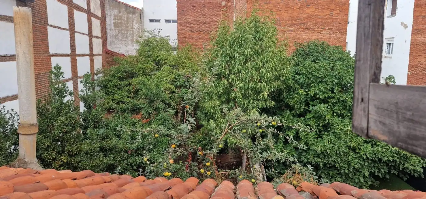 Immobles singulars en venda a Casco Antiguo, imagen 20