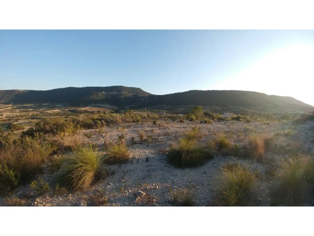 Lands and plots for sale in Ojós, imagen 11