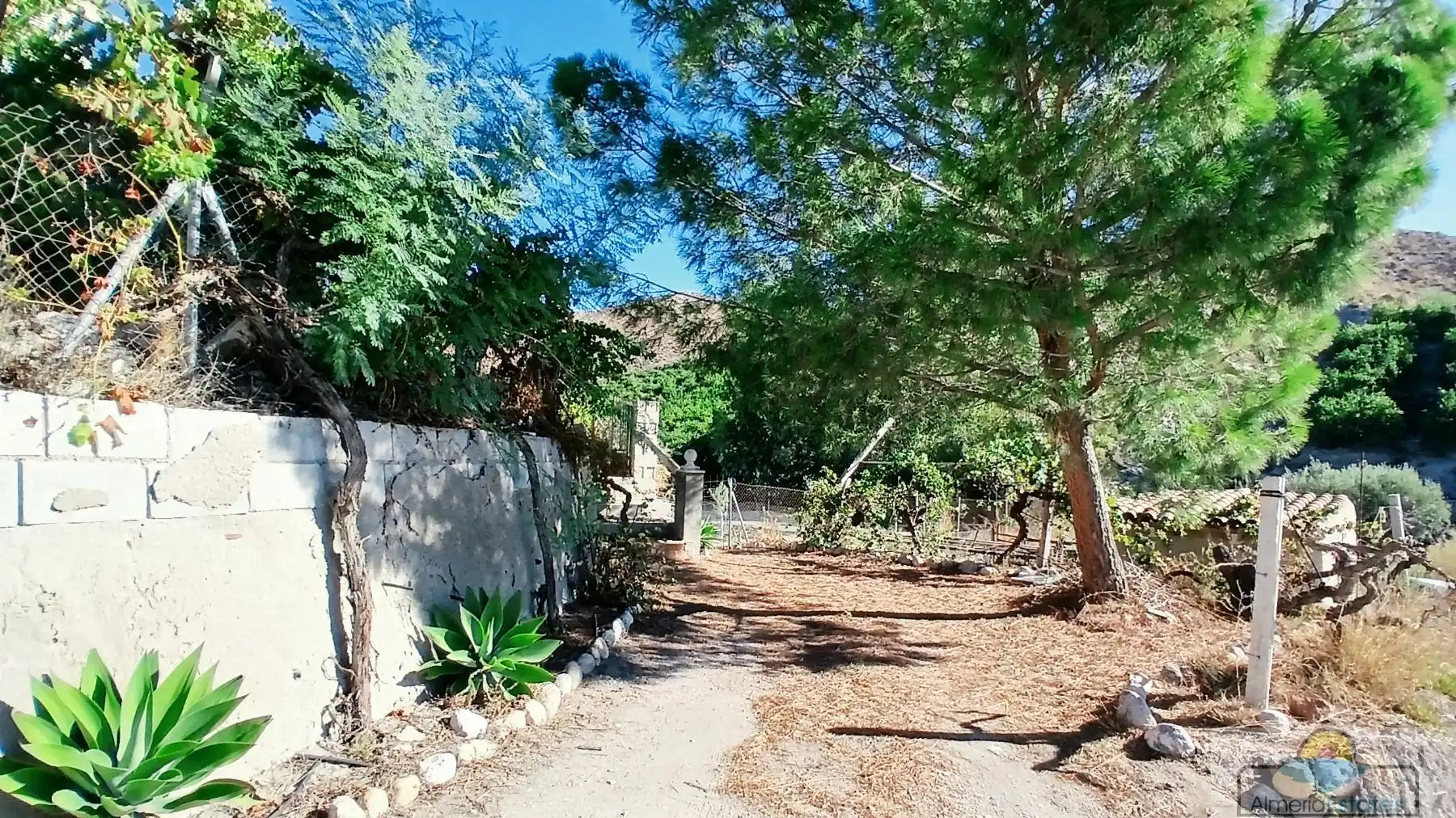 Houses for rent in Albox  with Storage room
