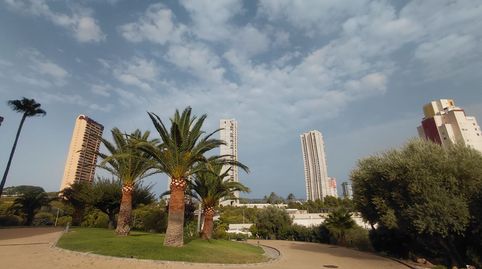 OCASION VIA PARQUE, imatge 2