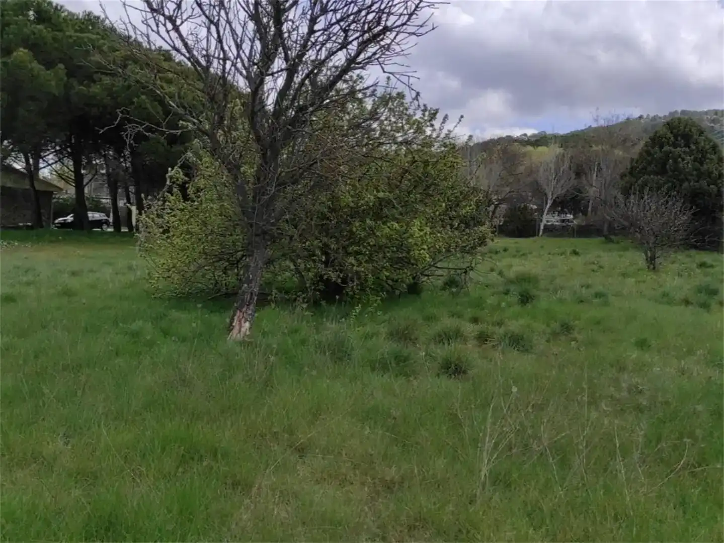 Terreno en venta en Moralzarzal