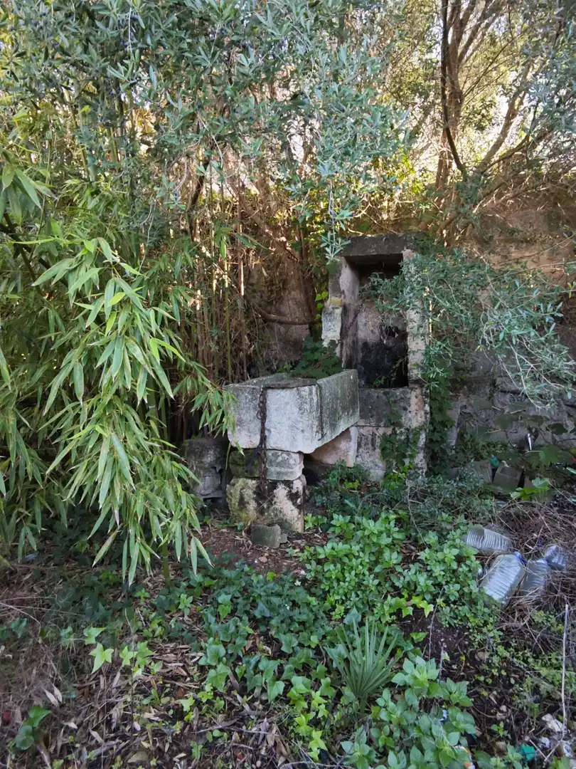 Landhaus mit Garten zum Verkauf in Muro, imagen 2